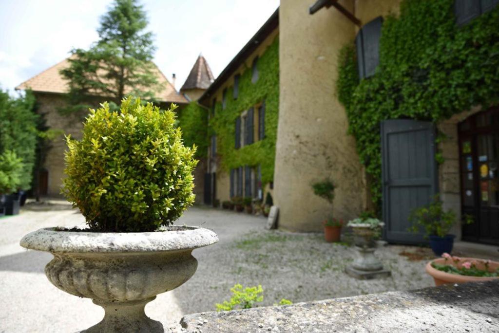 Chichilianne Chateau De Passieres מראה חיצוני תמונה